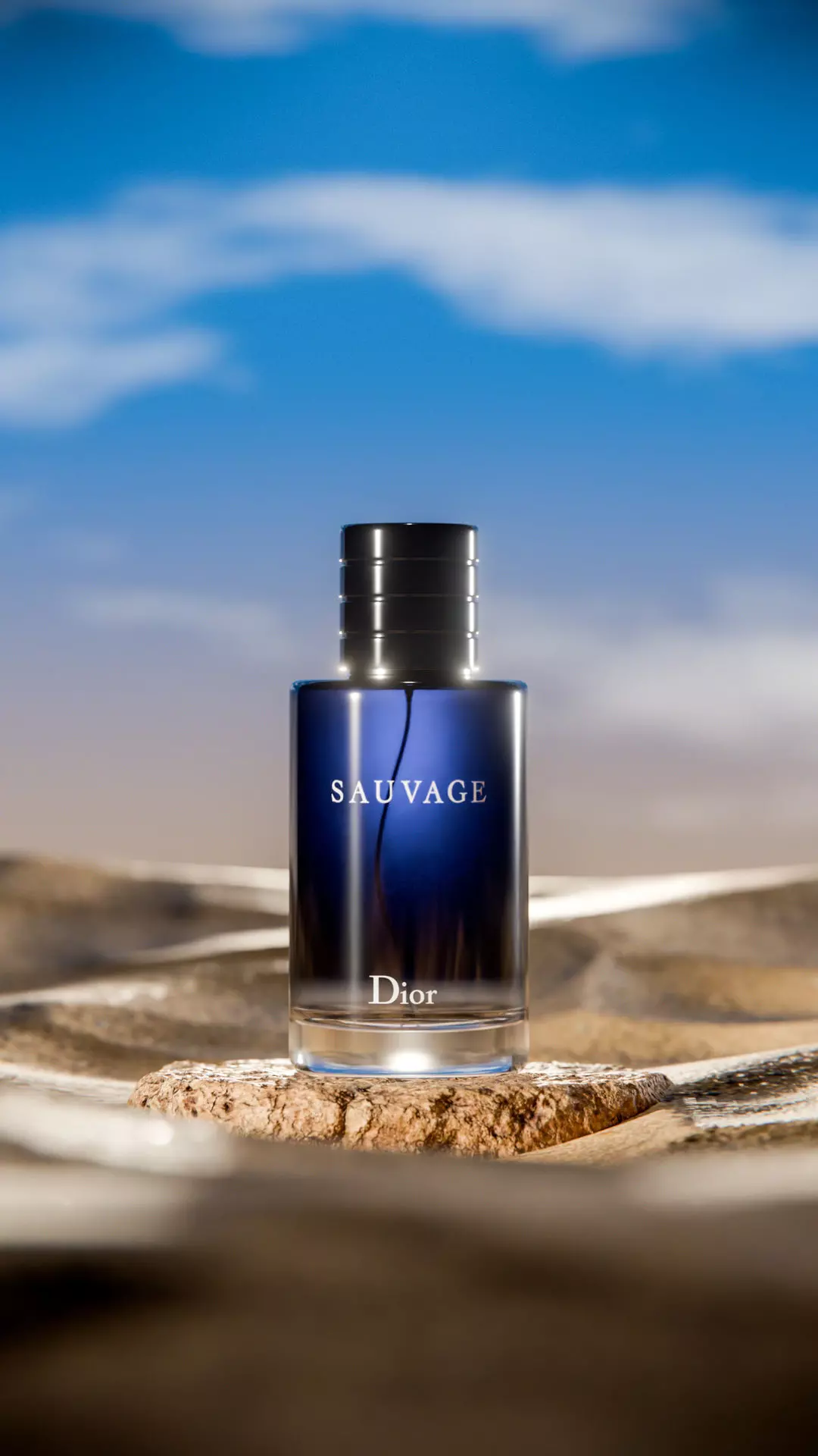 Midnight Perfume Desert Scene Low-poly 3D model_19