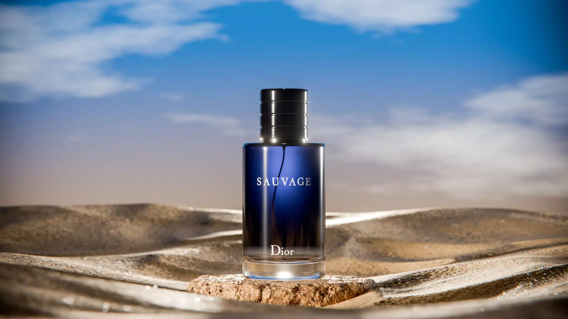 Midnight Perfume Desert Scene Low-poly 3D model_1