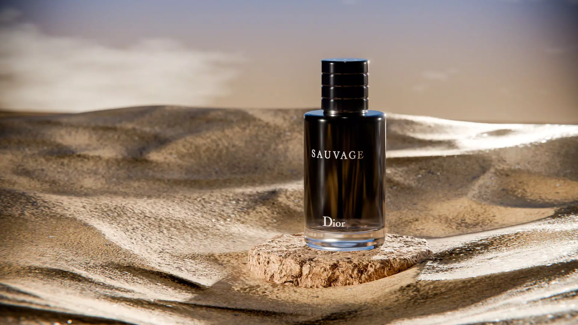 Midnight Perfume Desert Scene Low-poly 3D model_9