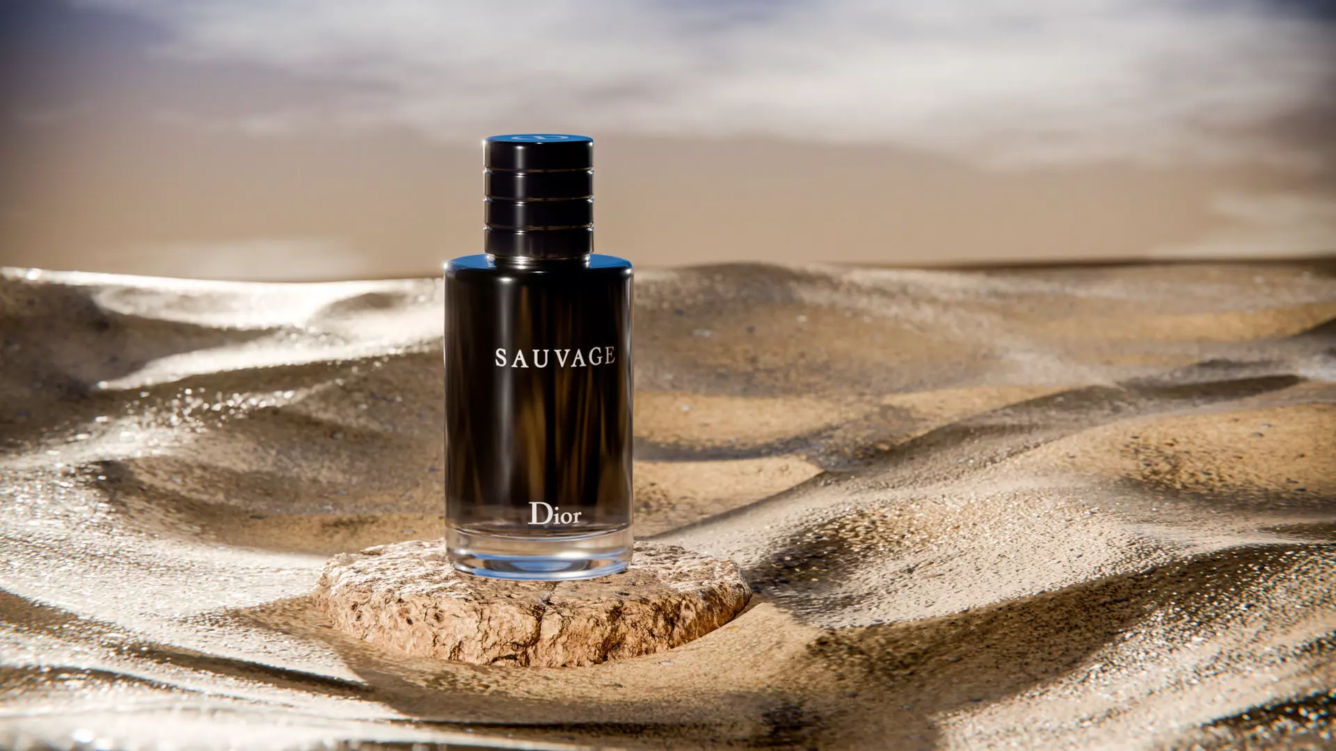 Midnight Perfume Desert Scene Low-poly 3D model_8