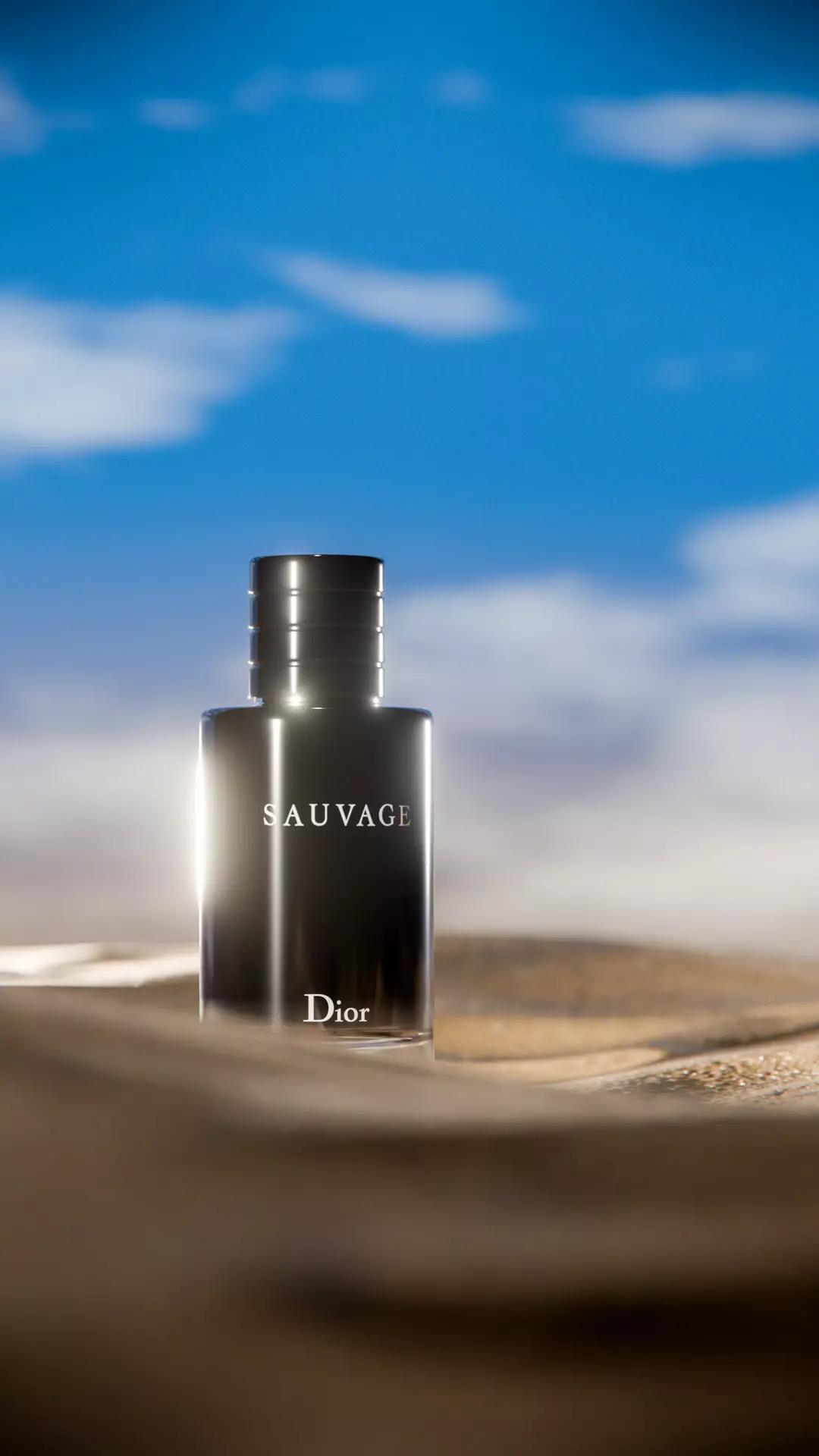 Midnight Perfume Desert Scene Low-poly 3D model_23