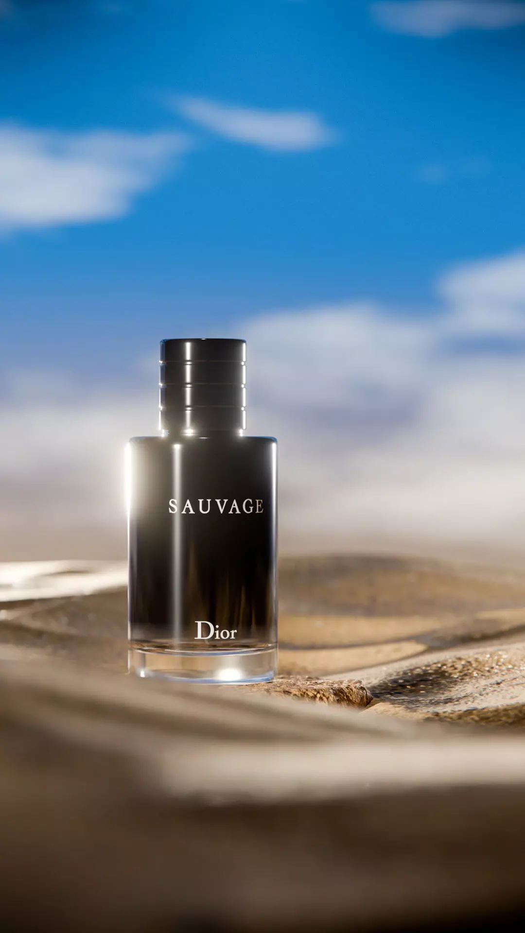 Midnight Perfume Desert Scene Low-poly 3D model_20