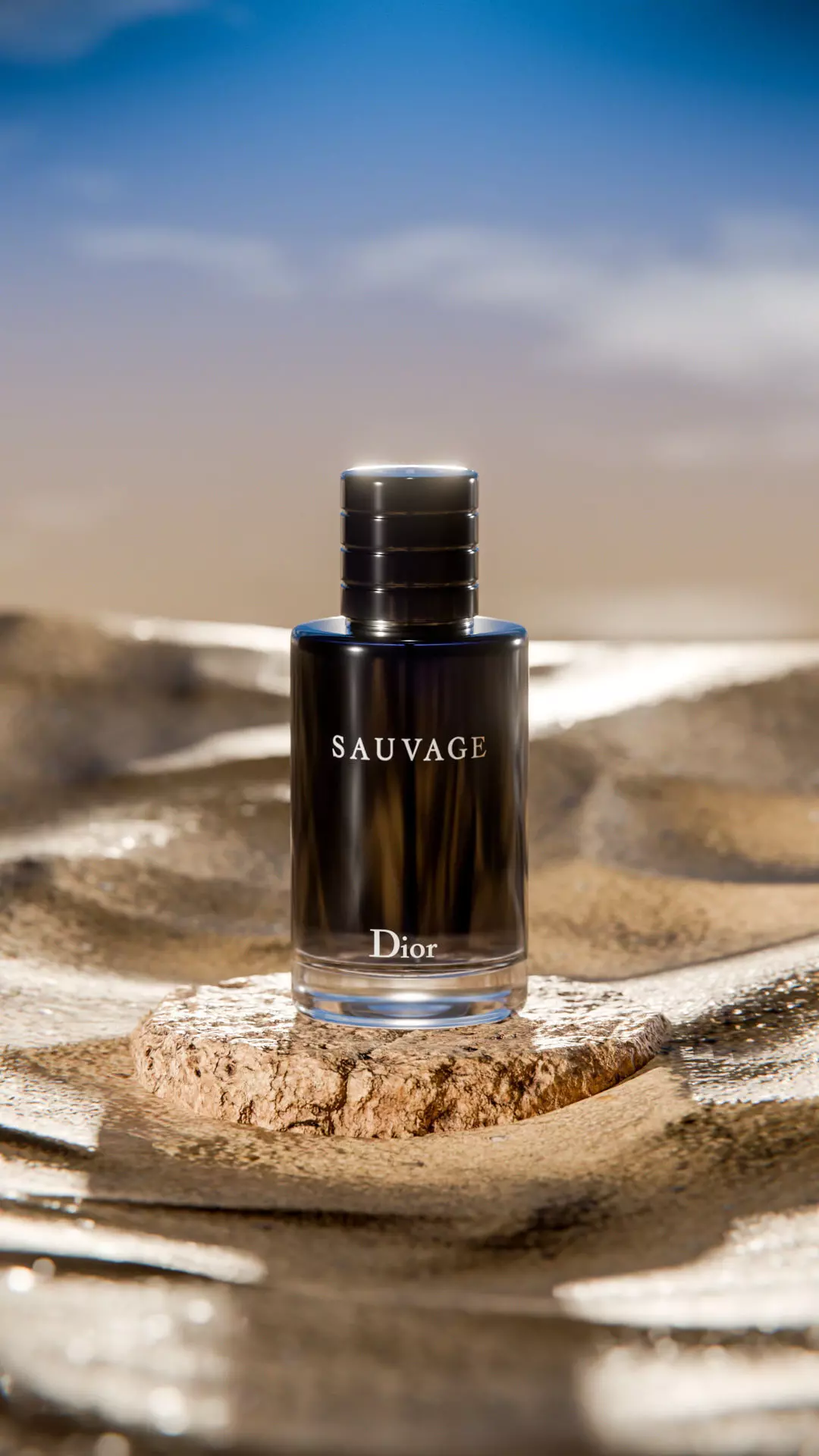 Midnight Perfume Desert Scene Low-poly 3D model_25