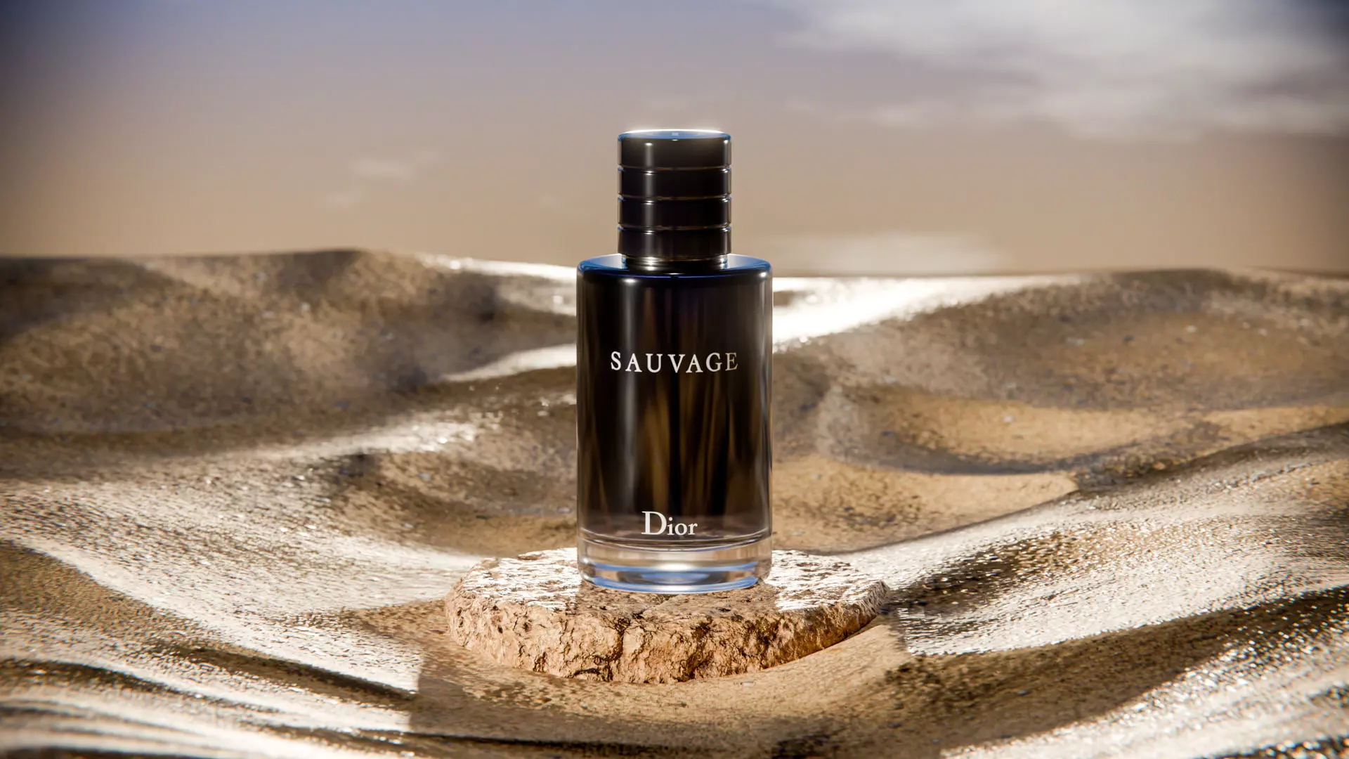 Midnight Perfume Desert Scene Low-poly 3D model_7