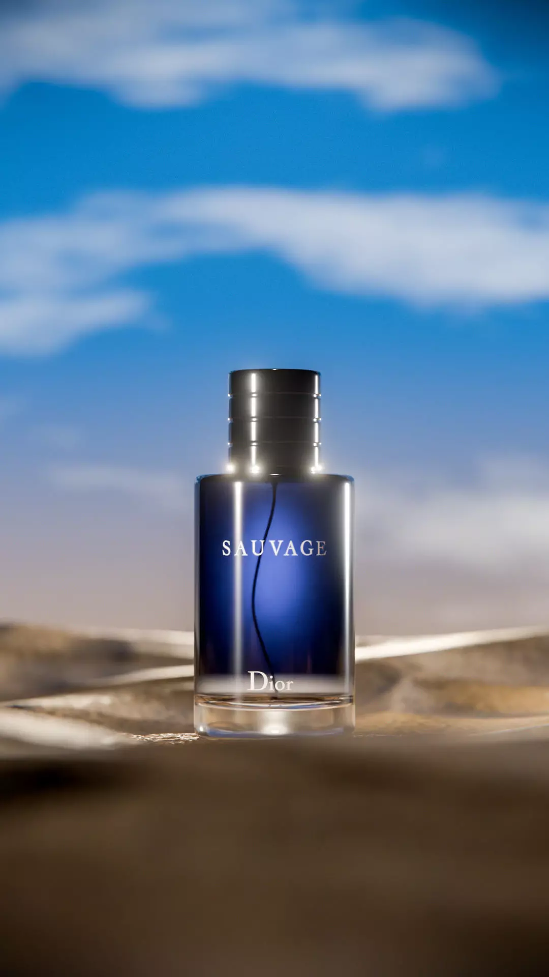 Midnight Perfume Desert Scene Low-poly 3D model_22