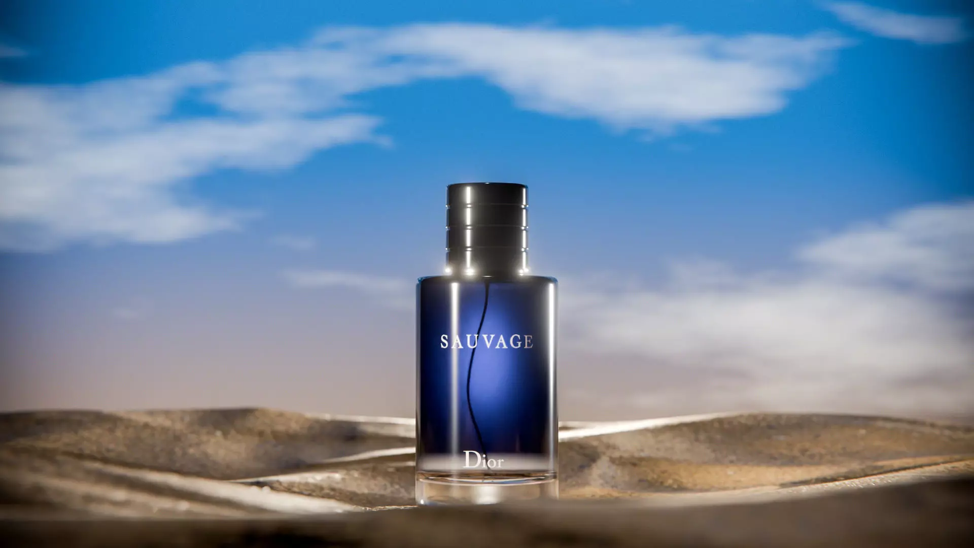 Midnight Perfume Desert Scene Low-poly 3D model_4