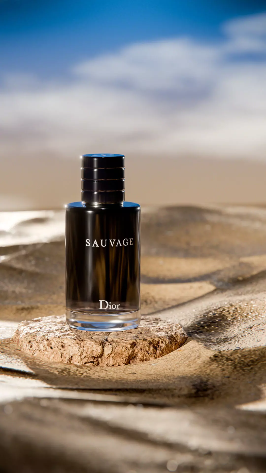 Midnight Perfume Desert Scene Low-poly 3D model_26