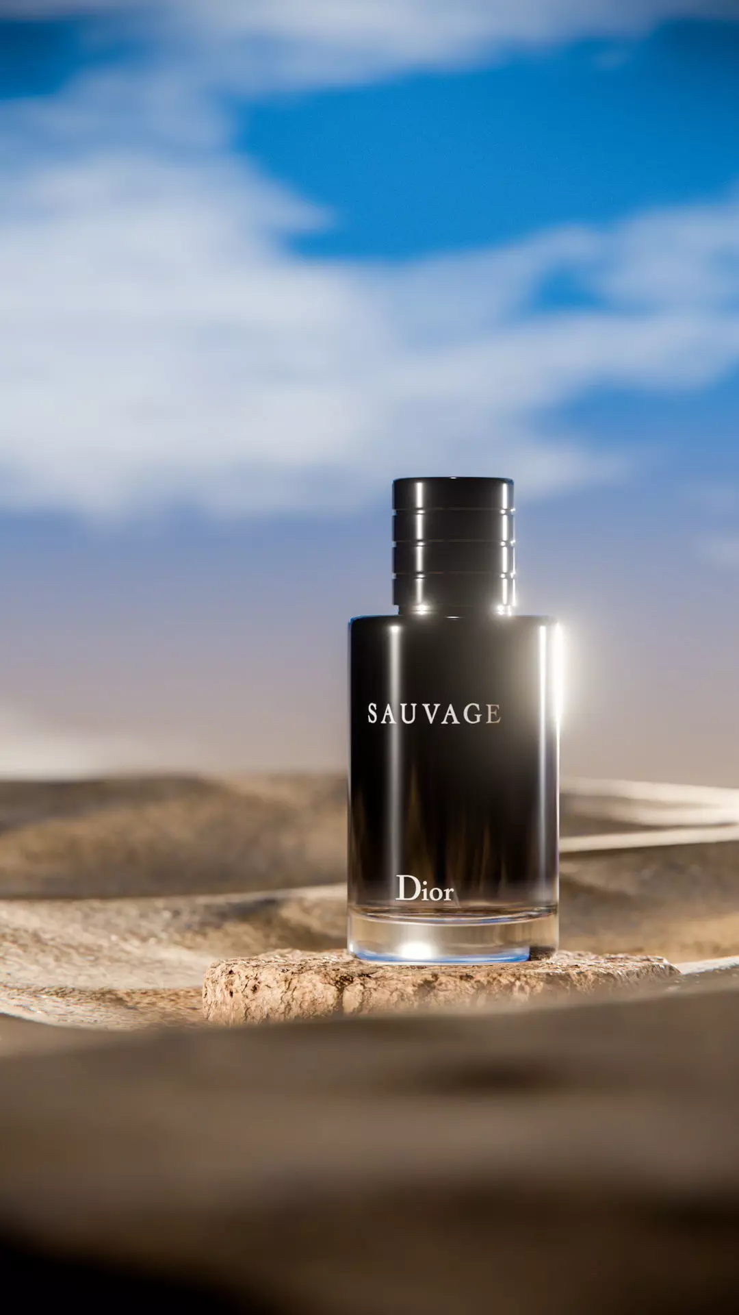 Midnight Perfume Desert Scene Low-poly 3D model_21