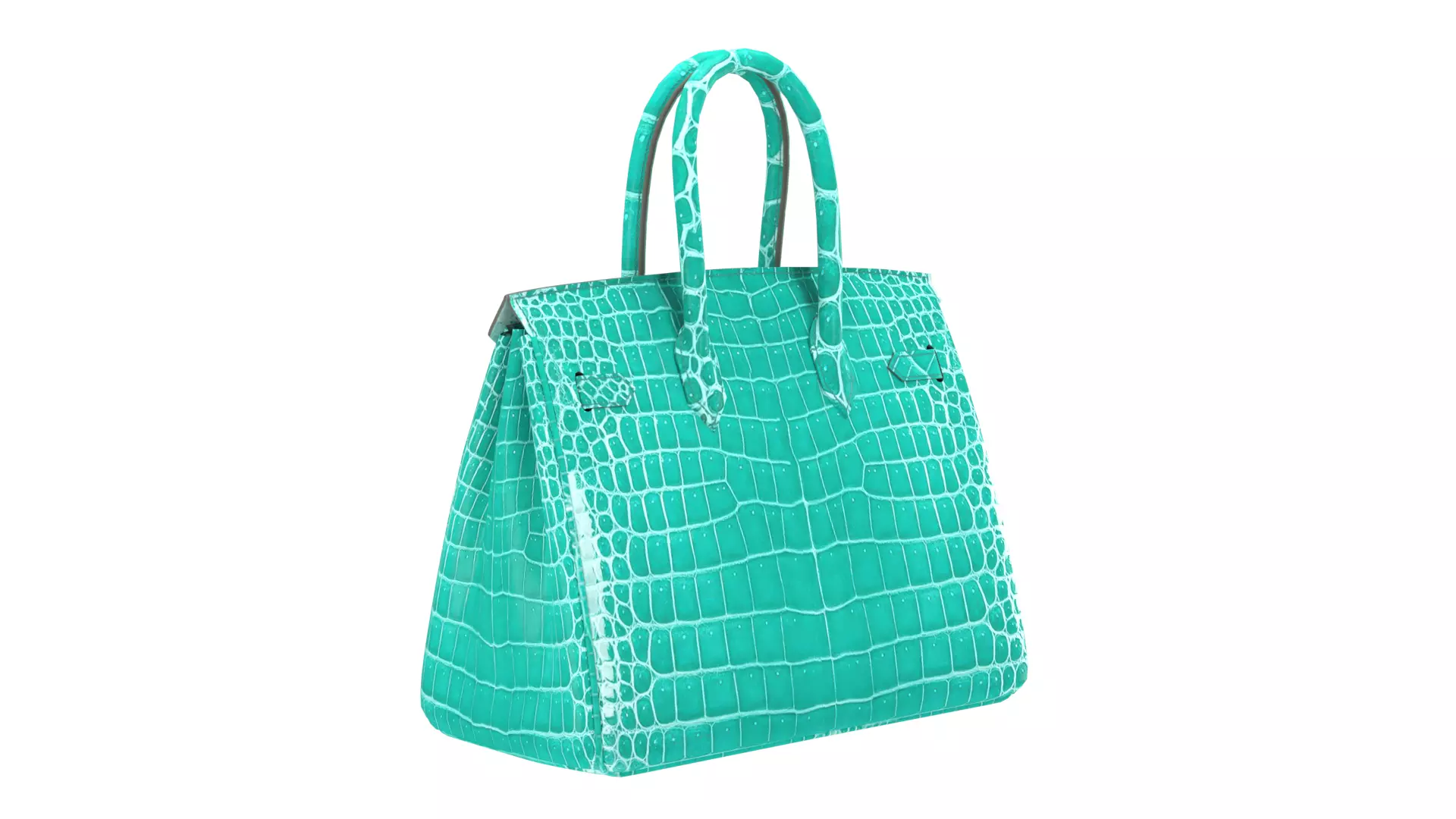 HMS Birkin 30 3D Handbag Model Collection _7