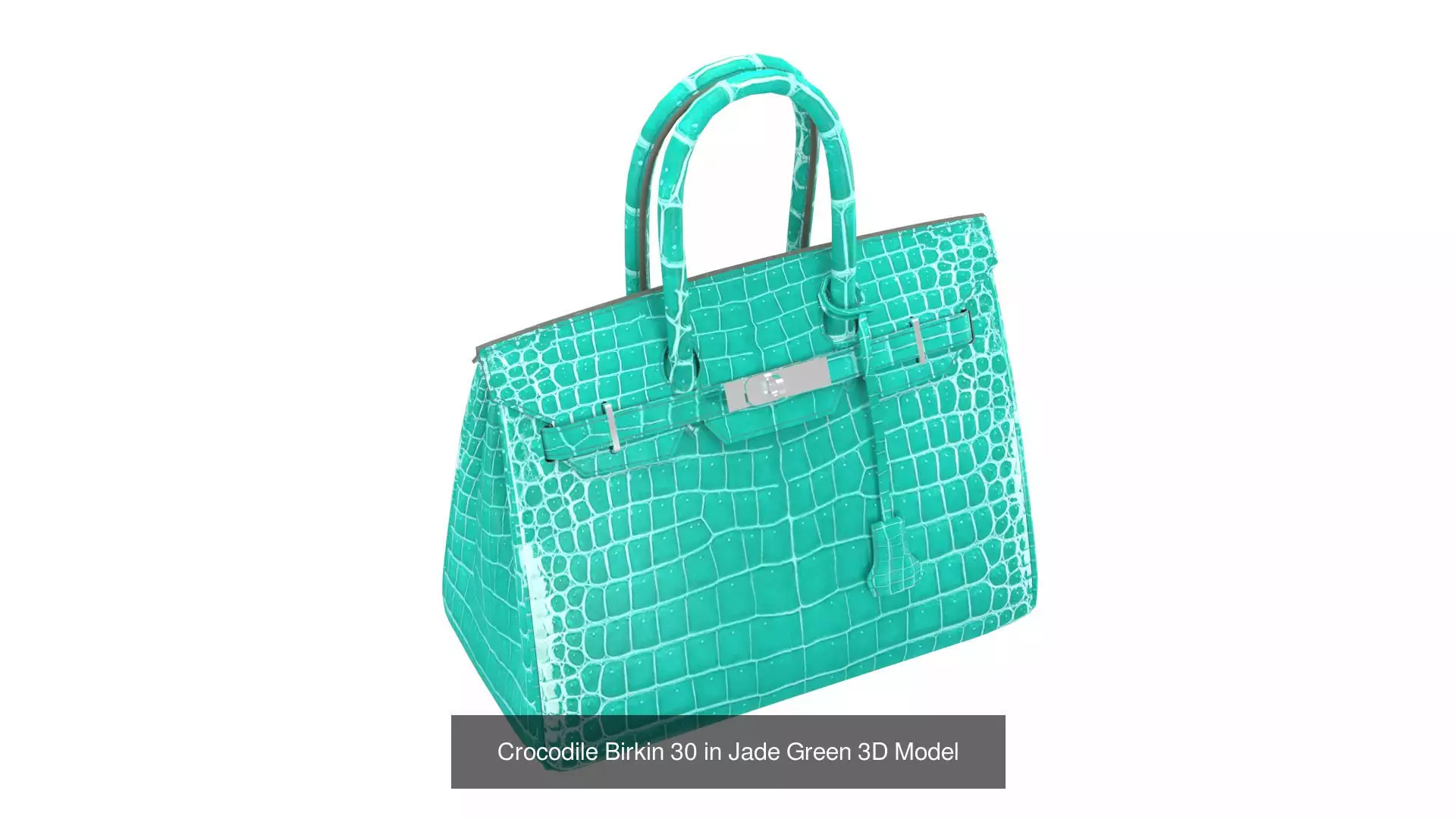 HMS Birkin 30 3D Handbag Model Collection _5