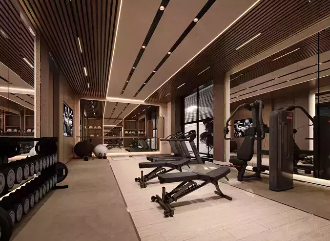 Luxury Home Gym Interior Villa Private Fitness 3Ds Max