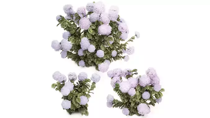 Set bushes lilac pink hydrangea with flowers for the garden 1486 3D model
