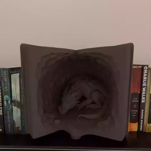 dragons rest book nook 3D print model