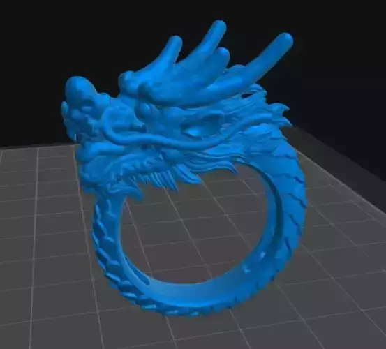 Ring dragon print 3d
