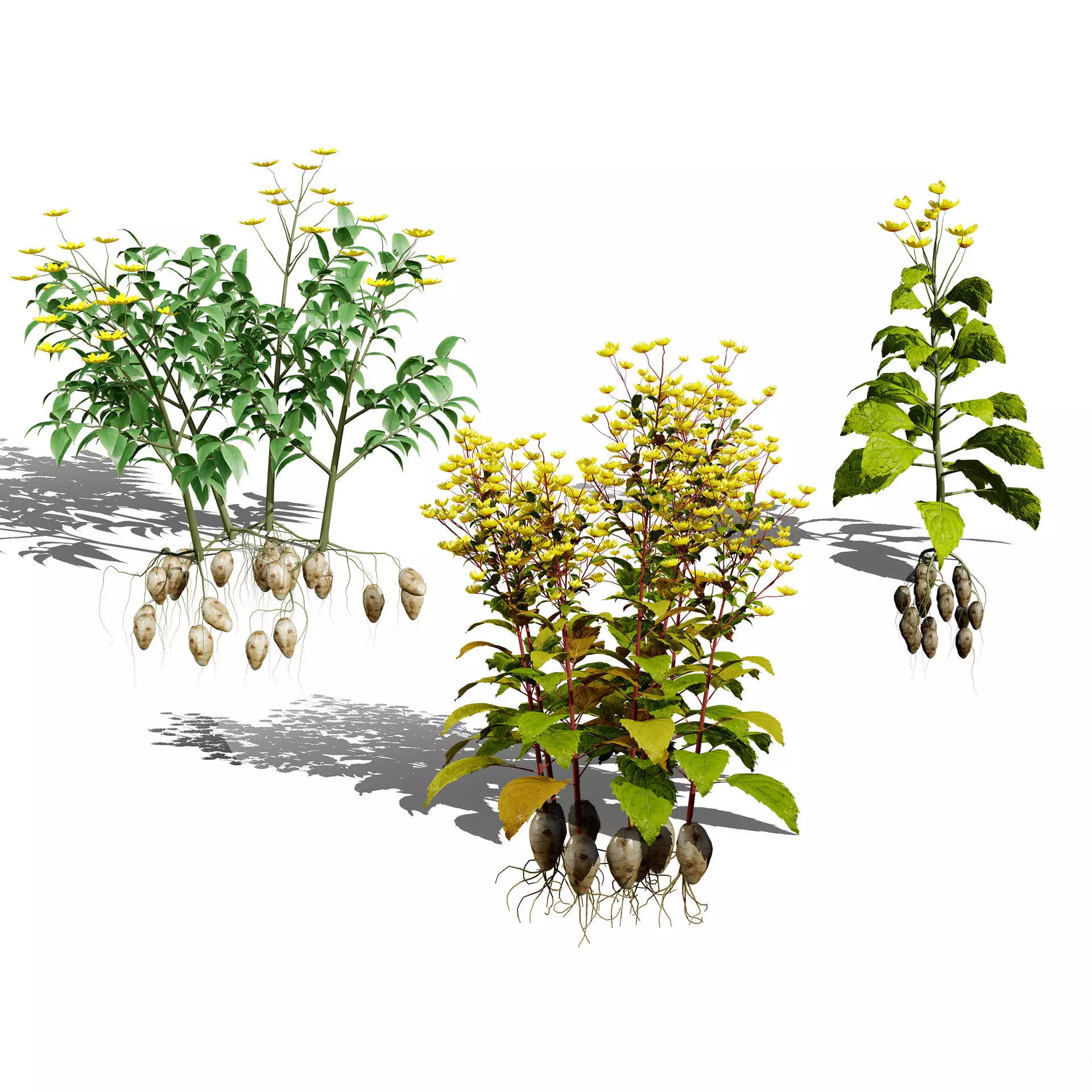 Optimized Foliage Collection Low-poly 3D model_38