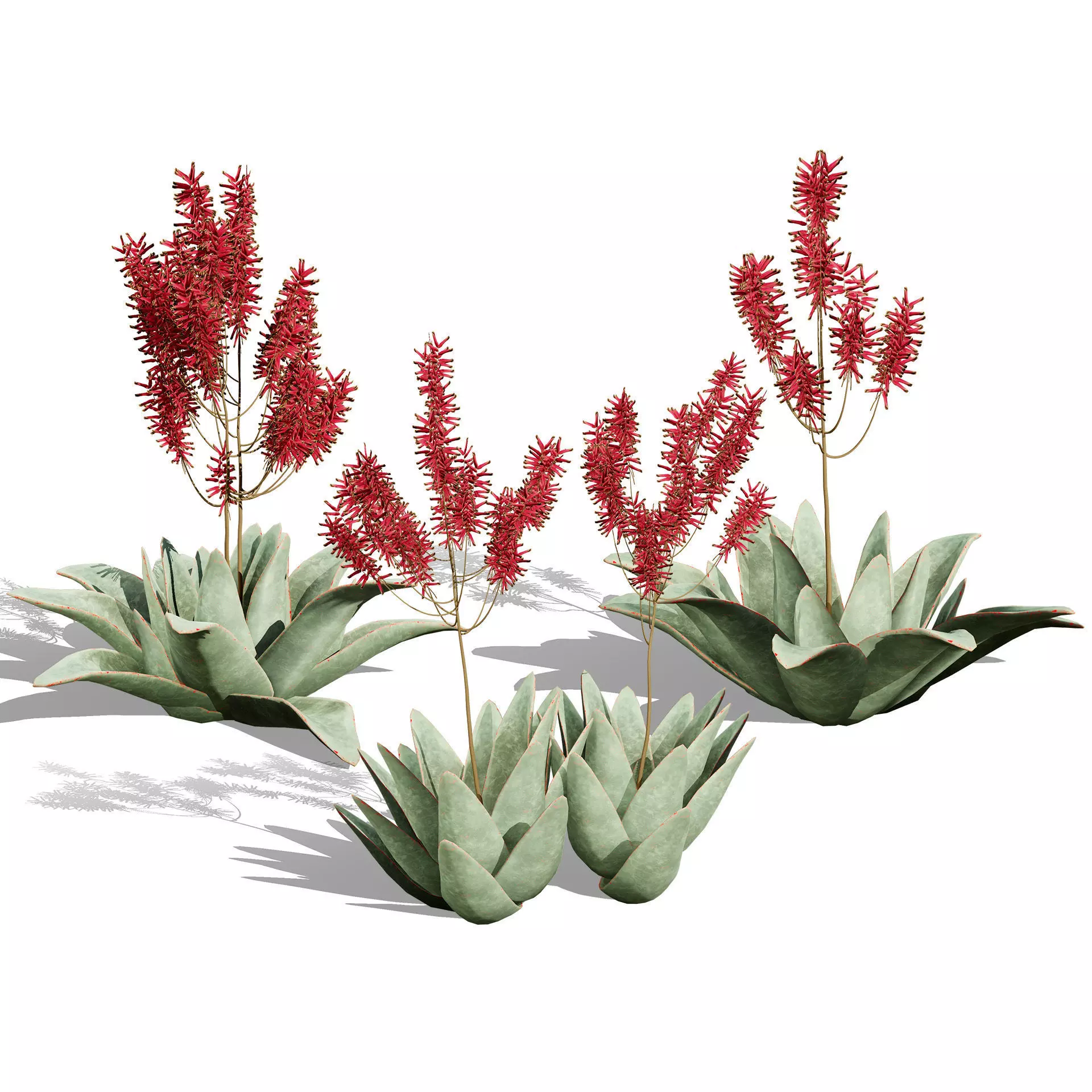 Optimized Foliage Collection Low-poly 3D model_41