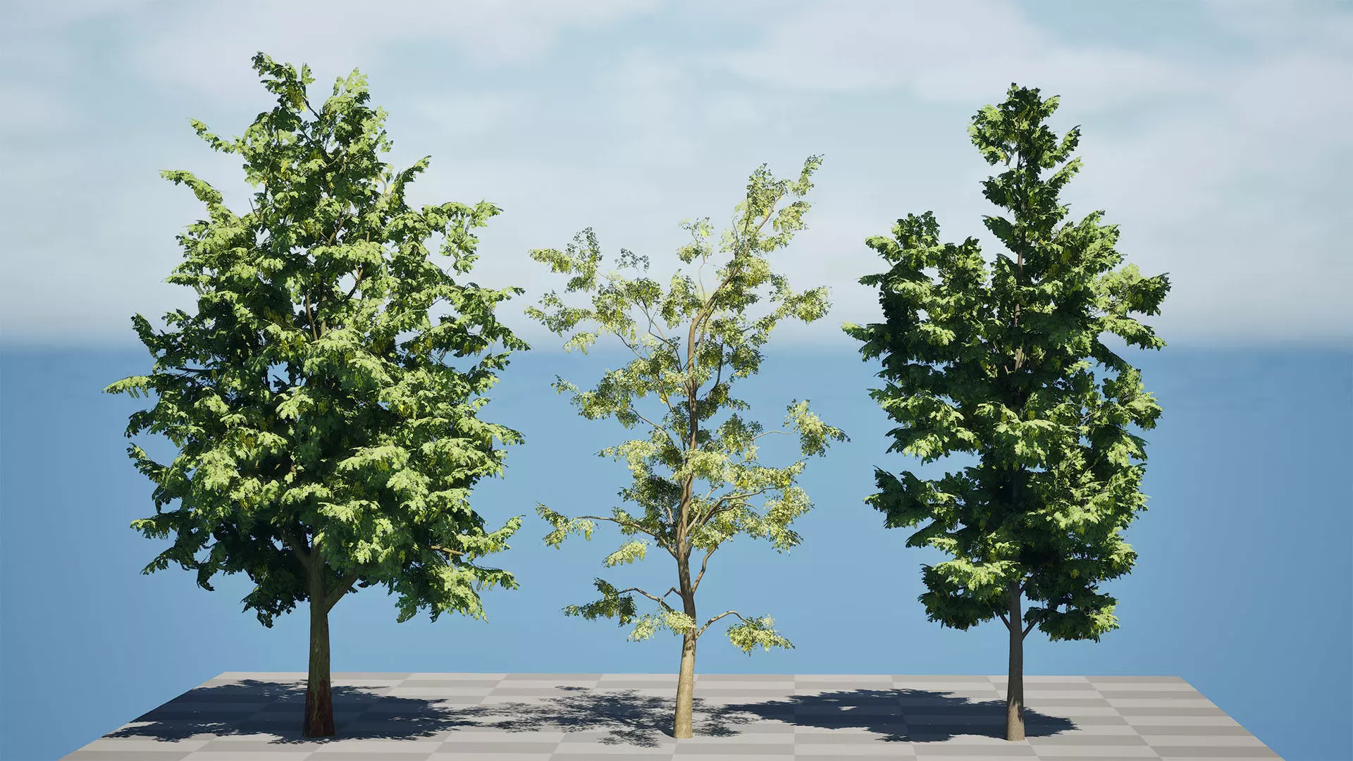 Optimized Foliage Collection Low-poly 3D model_8