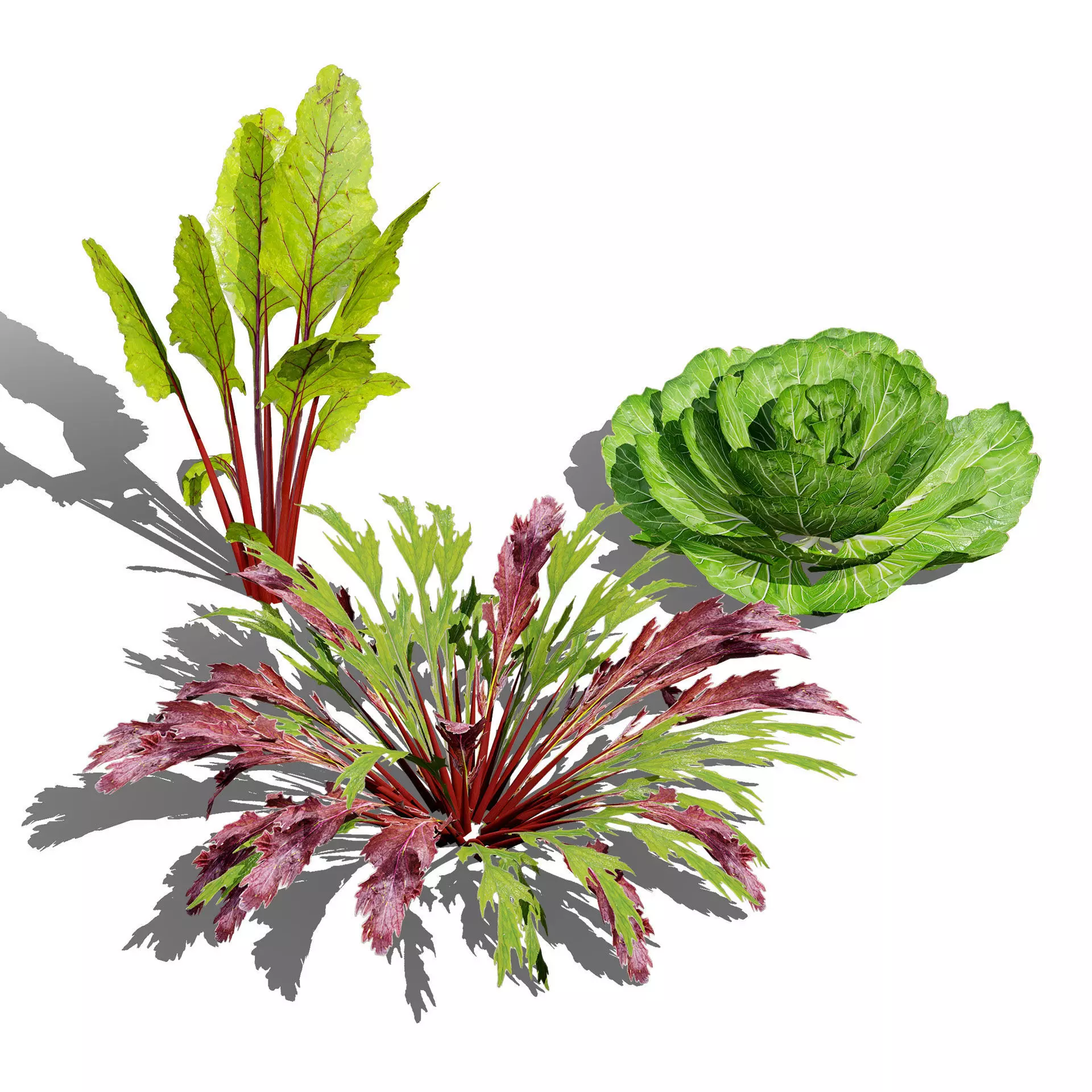 Optimized Foliage Collection Low-poly 3D model_40