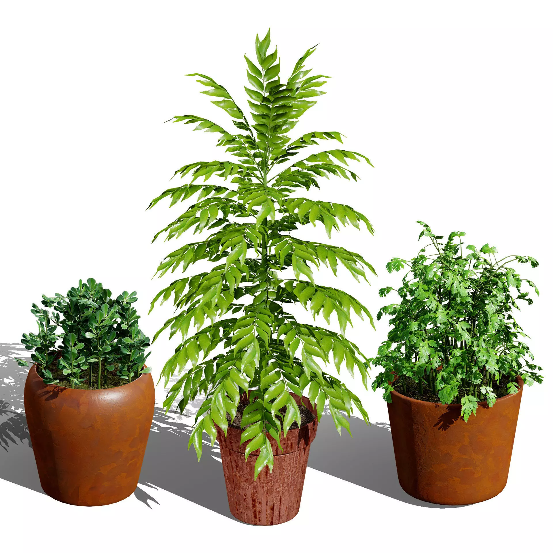 Optimized Foliage Collection Low-poly 3D model_23