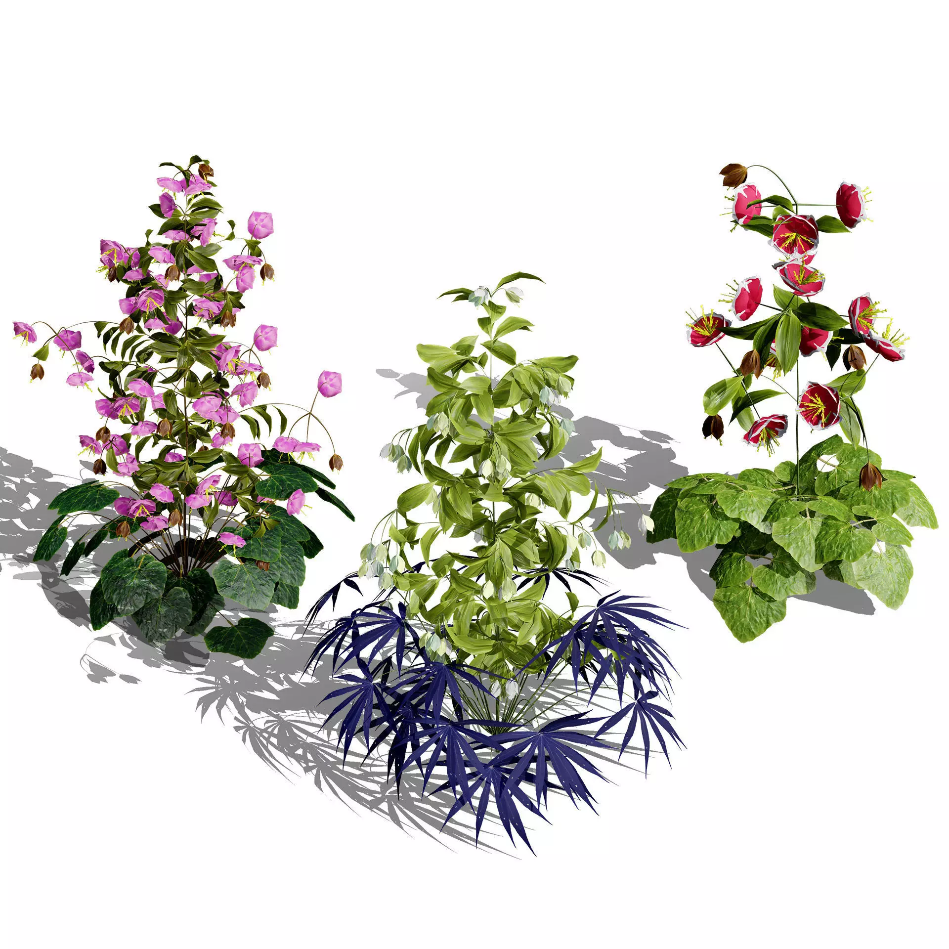 Optimized Foliage Collection Low-poly 3D model_22