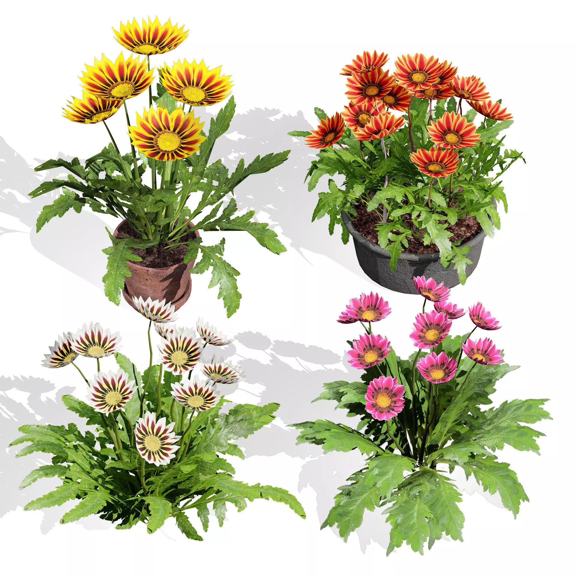 Optimized Foliage Collection Low-poly 3D model_26