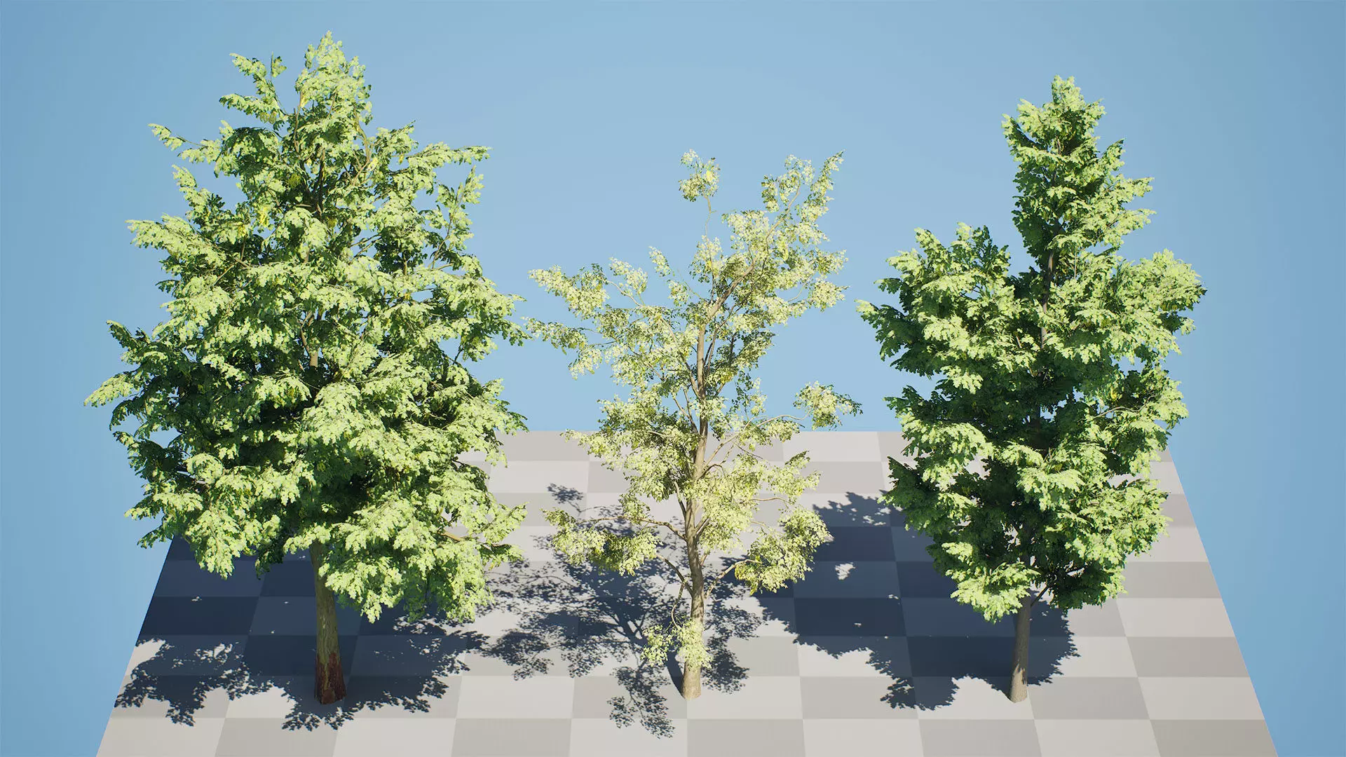 Optimized Foliage Collection Low-poly 3D model_6