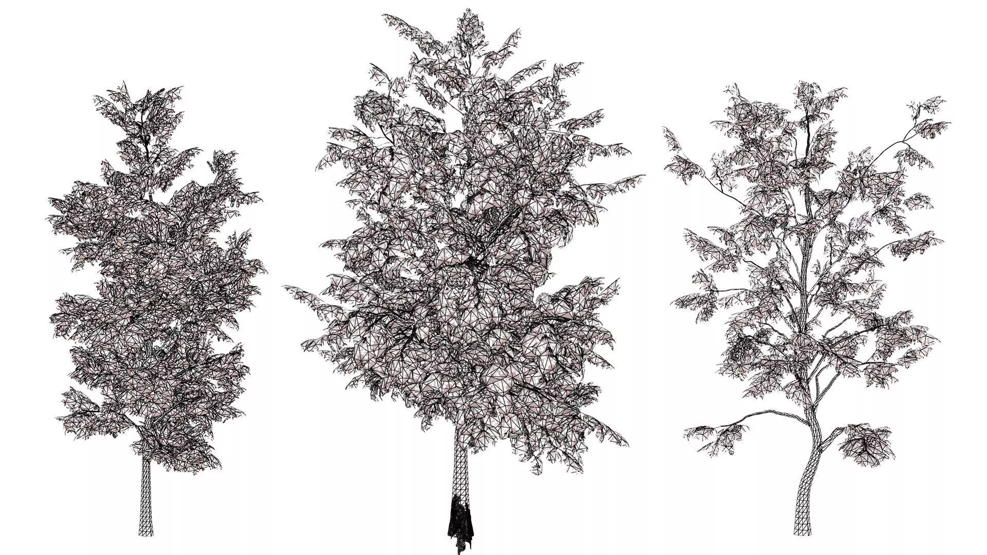 Optimized Foliage Collection Low-poly 3D model_16