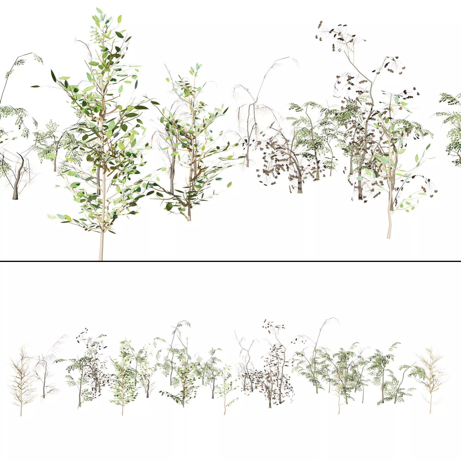 Optimized Foliage Collection Low-poly 3D model_36