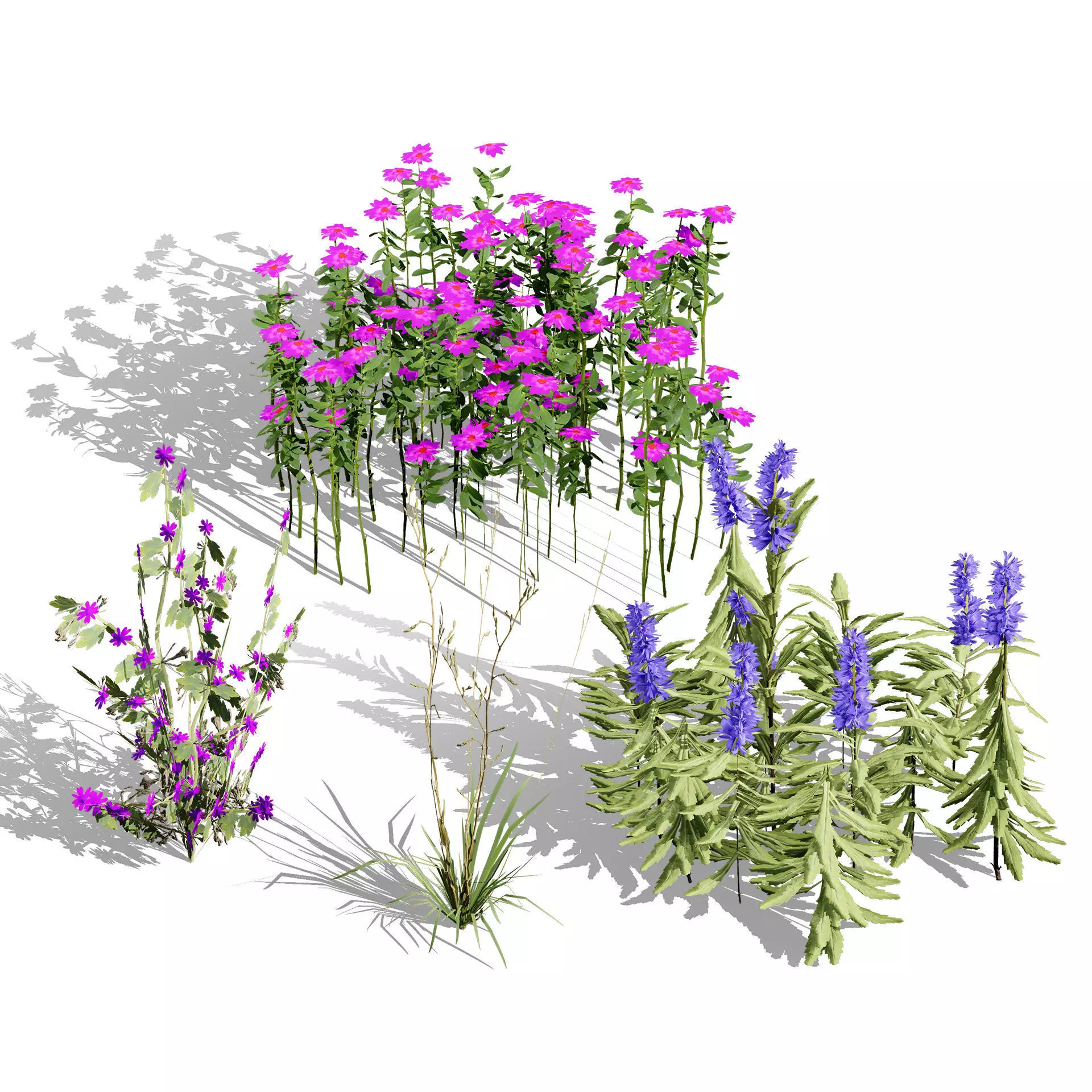 Optimized Foliage Collection Low-poly 3D model_34