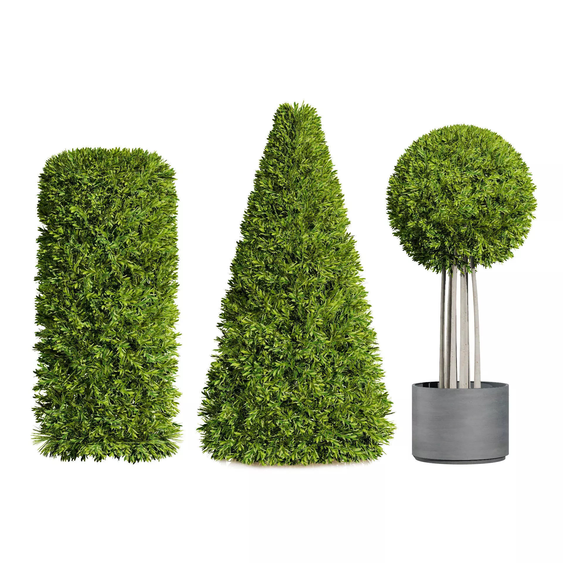 Optimized Foliage Collection Low-poly 3D model_33