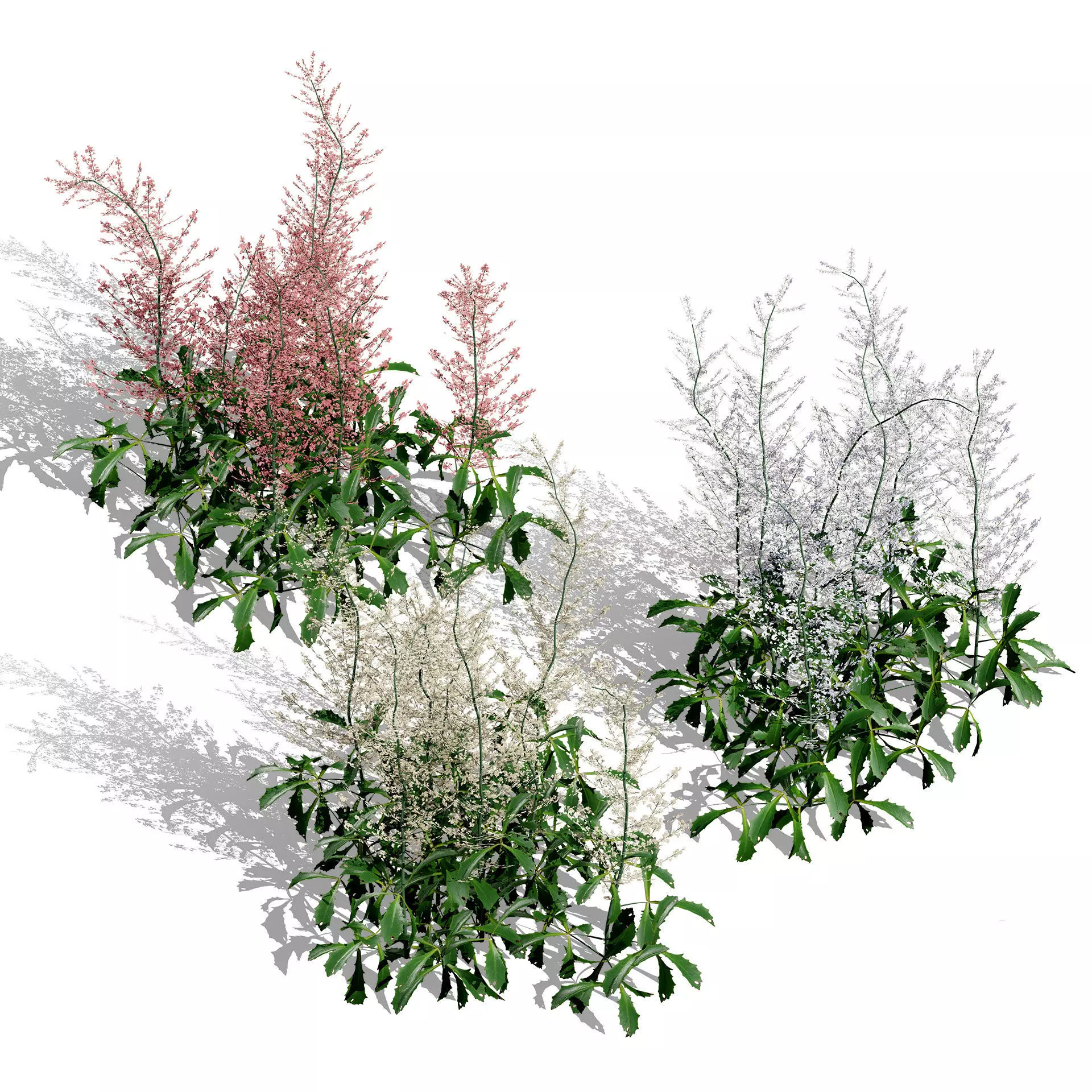 Optimized Foliage Collection Low-poly 3D model_28