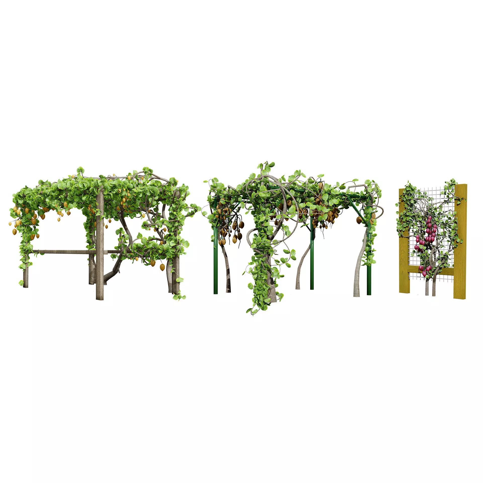 Optimized Foliage Collection Low-poly 3D model_31