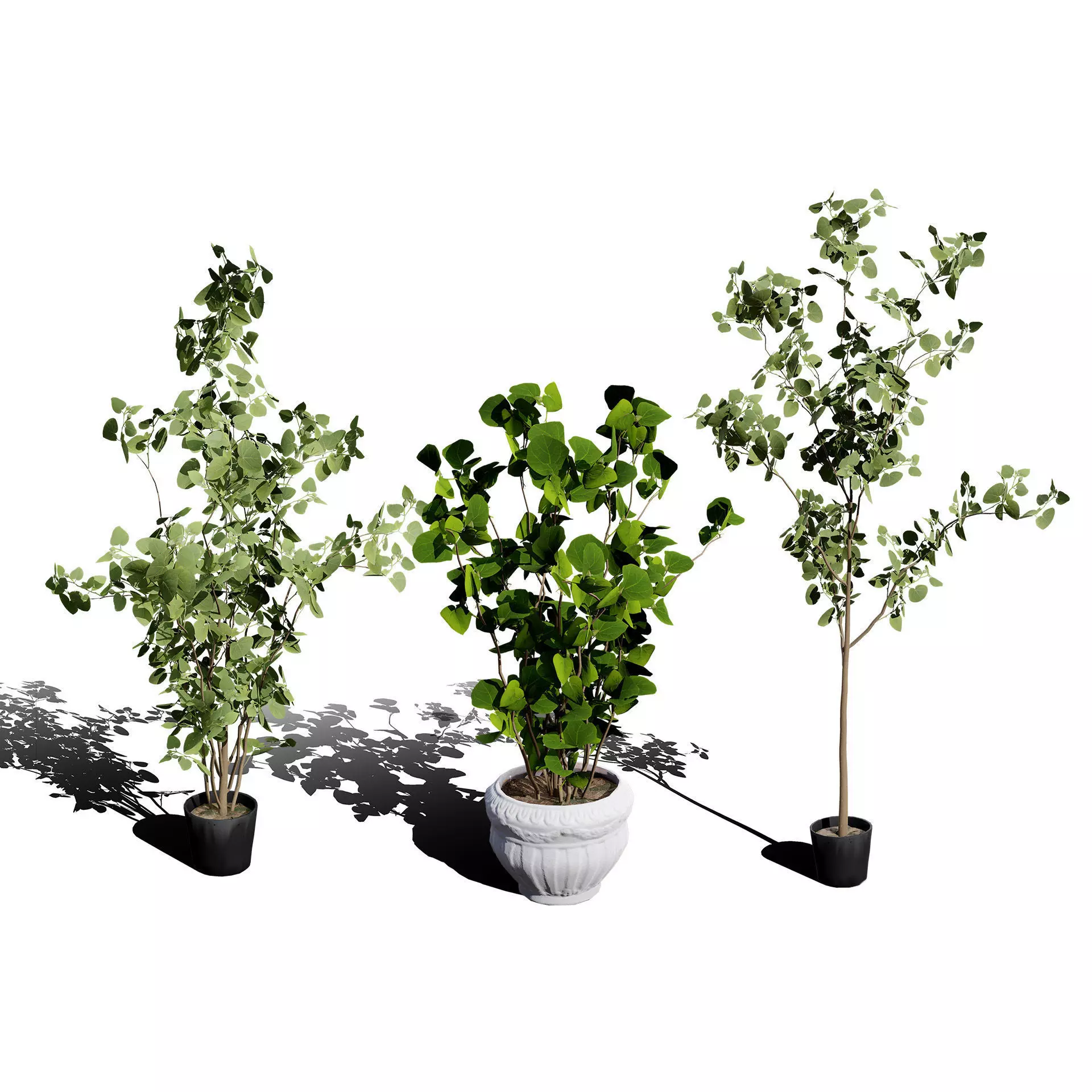 Optimized Foliage Collection Low-poly 3D model_19