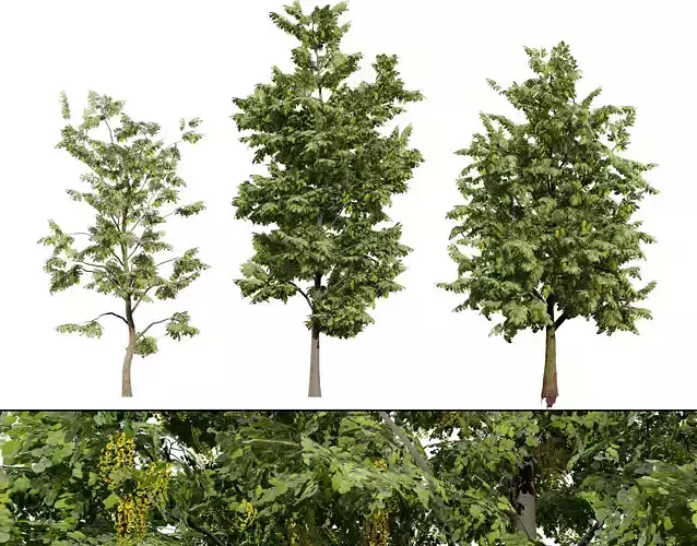 Optimized Foliage Collection Low-poly 3D model