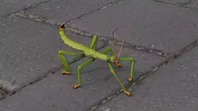 Stick insect Low-poly 3D model