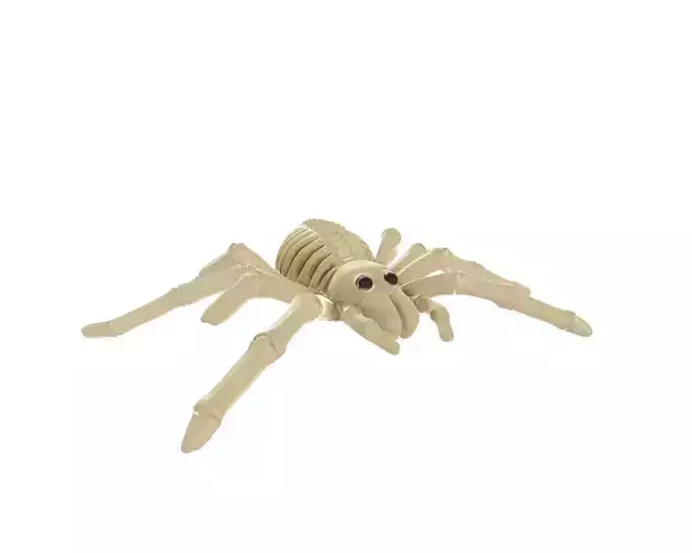 Realistic Spider Skeleton Cute Halloween Decoration