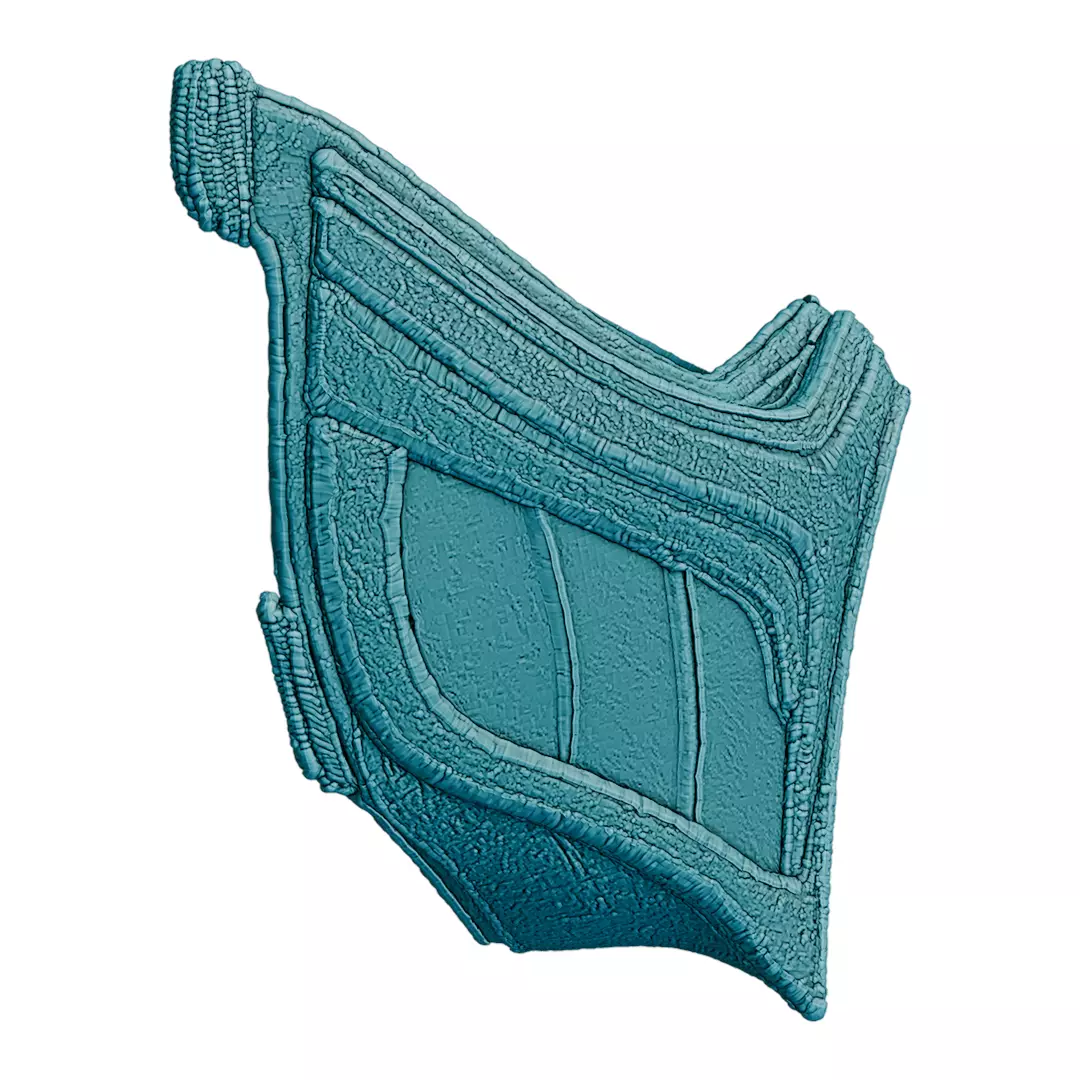 Face of Winter Wind Ultra-Detailed Mask 3D print model_5