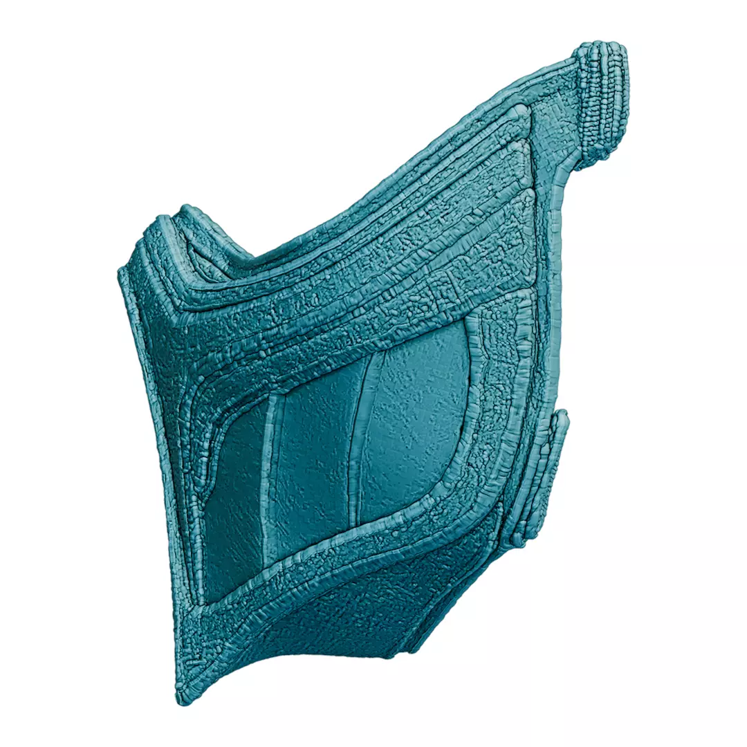 Face of Winter Wind Ultra-Detailed Mask 3D print model_4