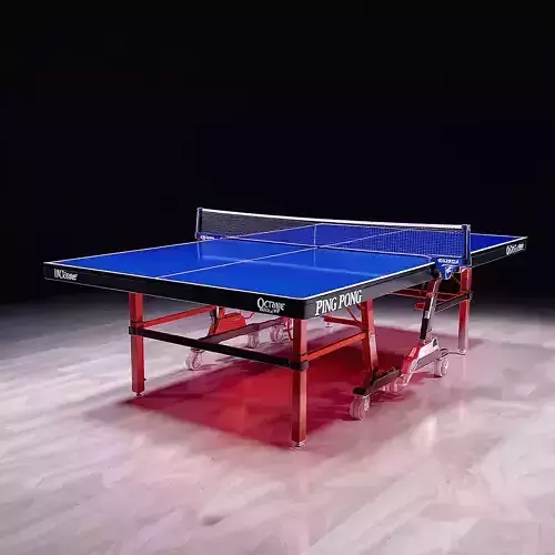 Ping Pong Table