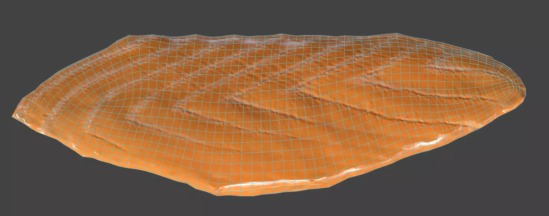 Salmon Slice 3D model_6