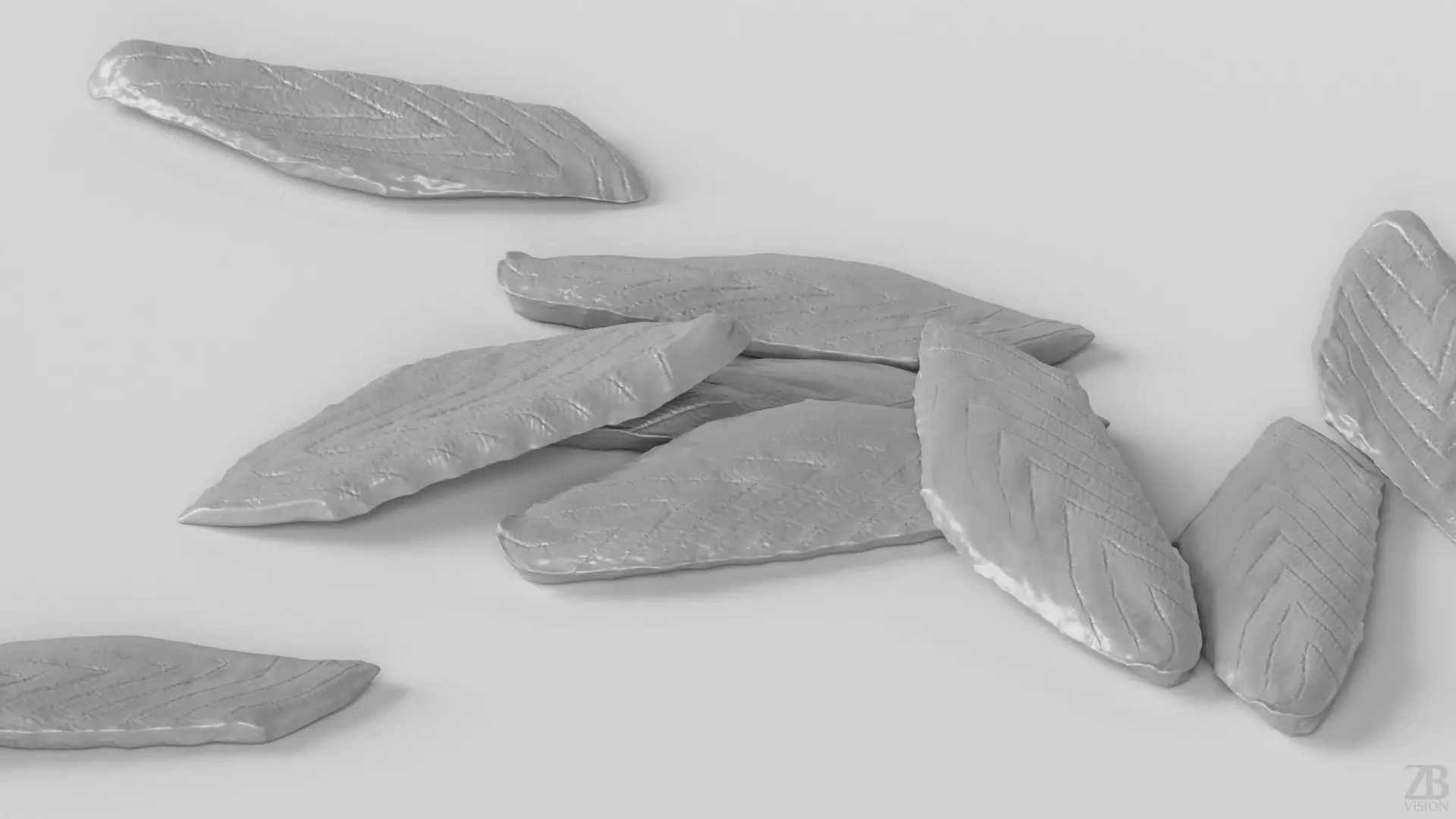 Salmon Slice 3D model_3