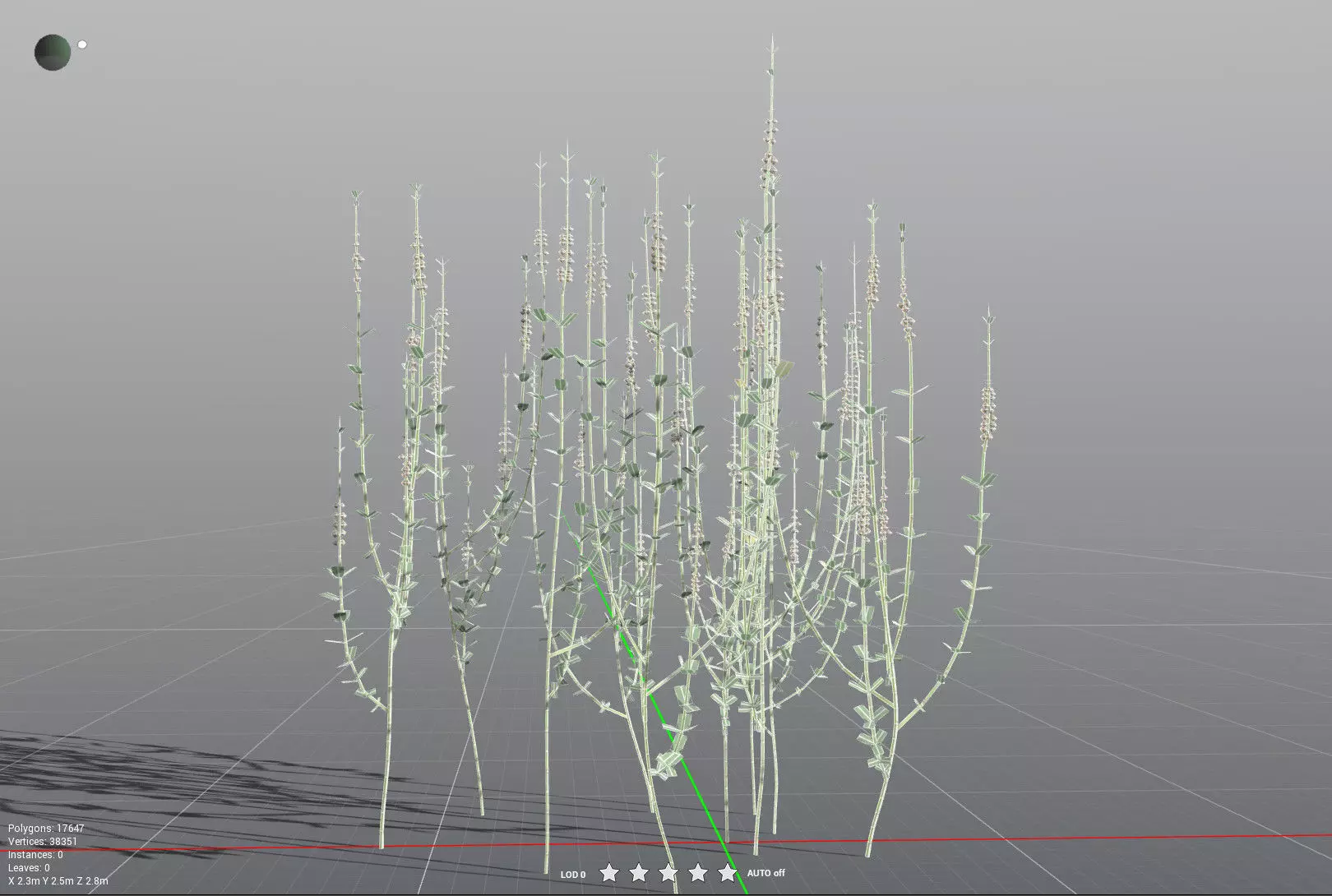 EVERYPlant Sphenophyllum Miravallis LowPoly Low-poly 3D model_36