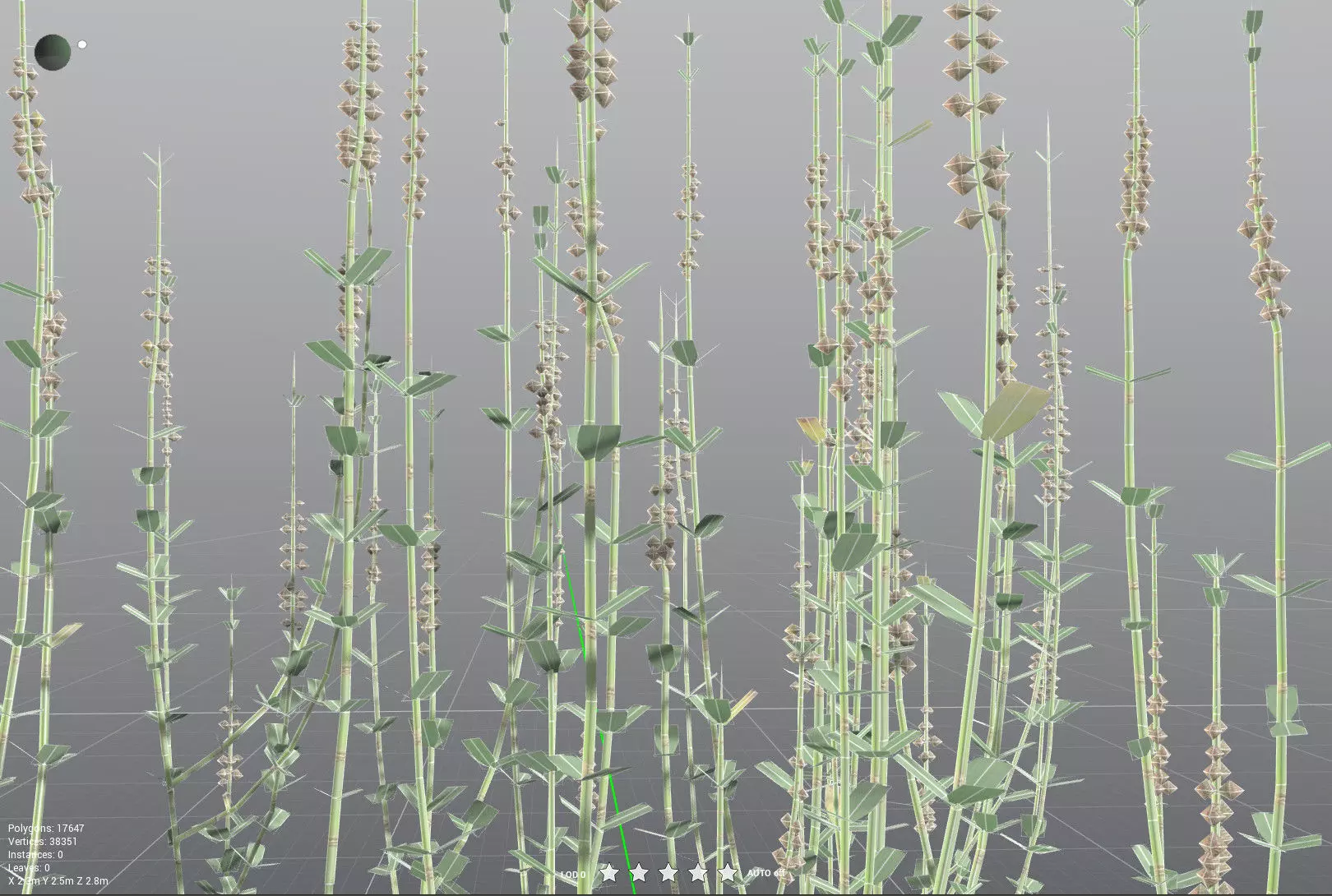 EVERYPlant Sphenophyllum Miravallis LowPoly Low-poly 3D model_37