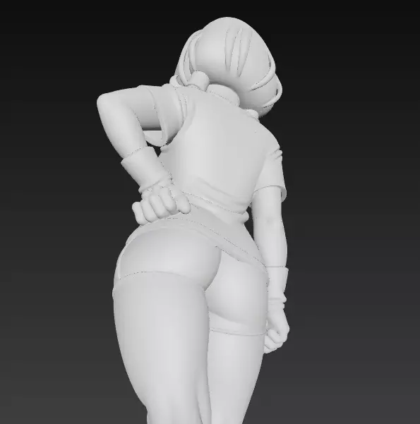 Videl in Casual Training Outfit Dragon Ball Character 3D print model_6
