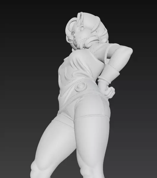 Videl in Casual Training Outfit Dragon Ball Character 3D print model_10