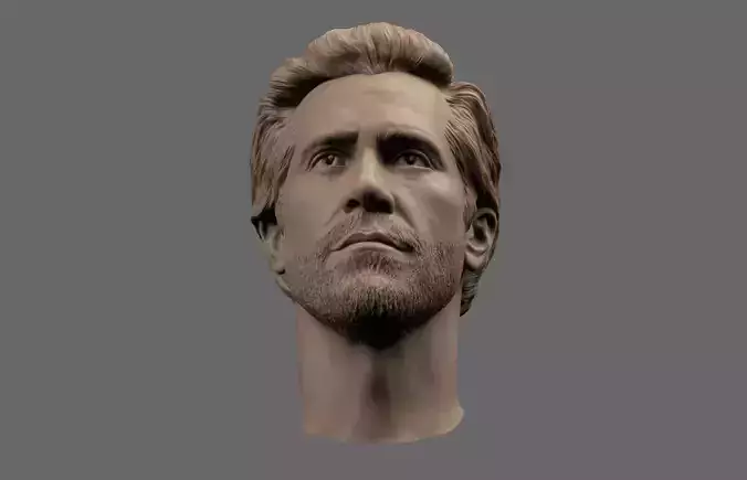 Jake Gyllenhaal Head 3D print model