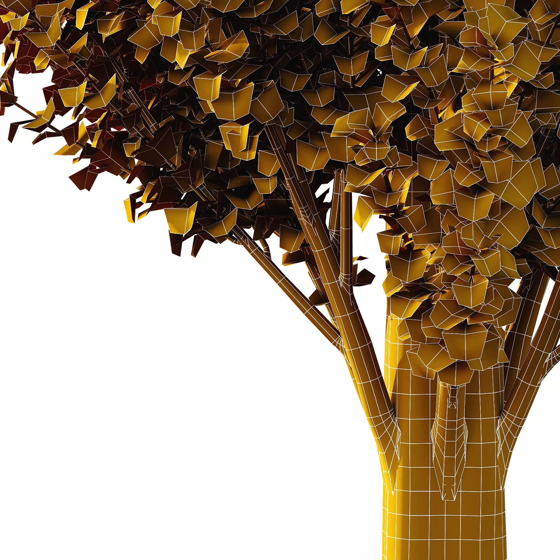 fagus sylvatica tree 04 3D model_2