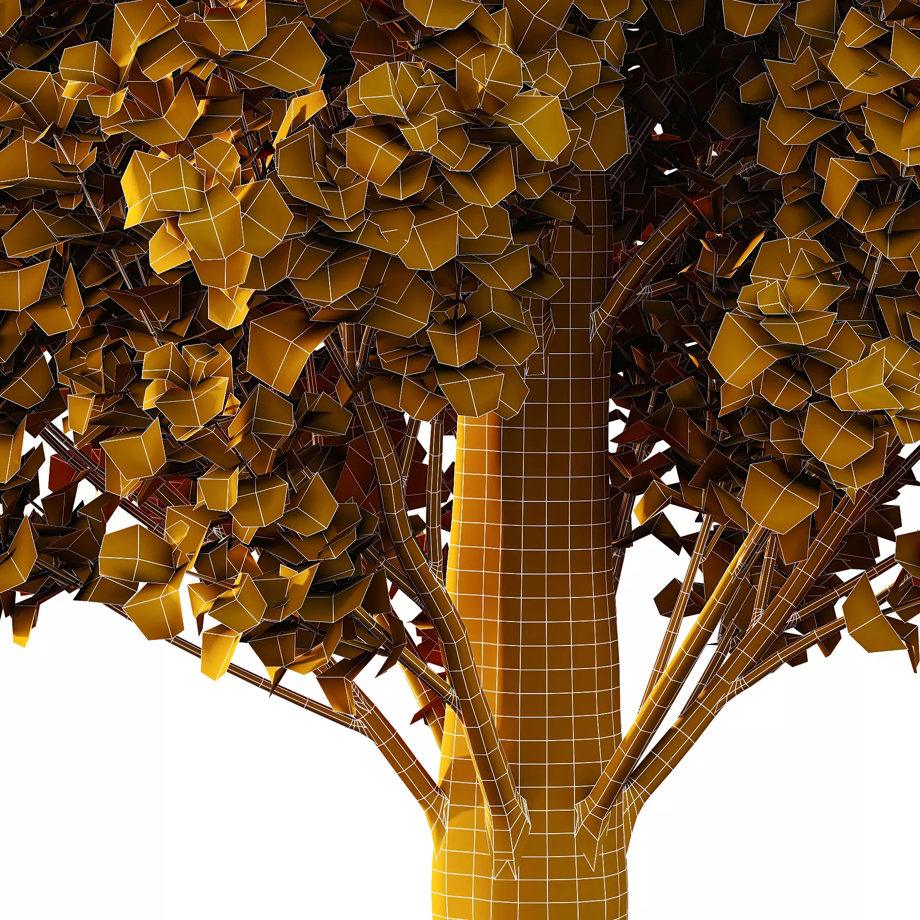 fagus sylvatica tree 08 3D model_3