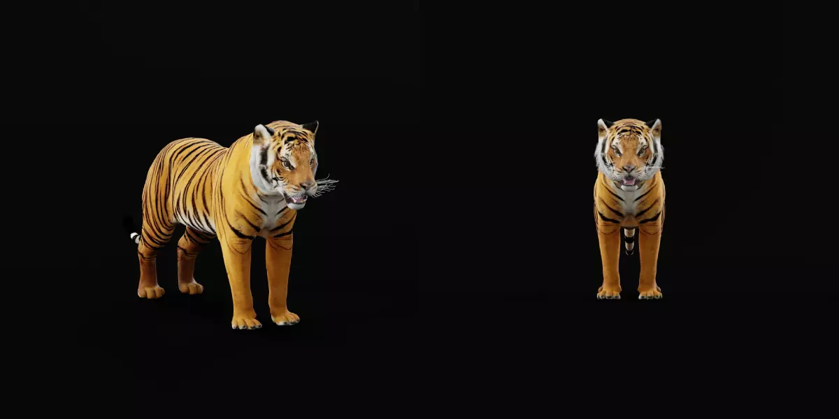 Bengal Tiger Low-poly 3D model_33