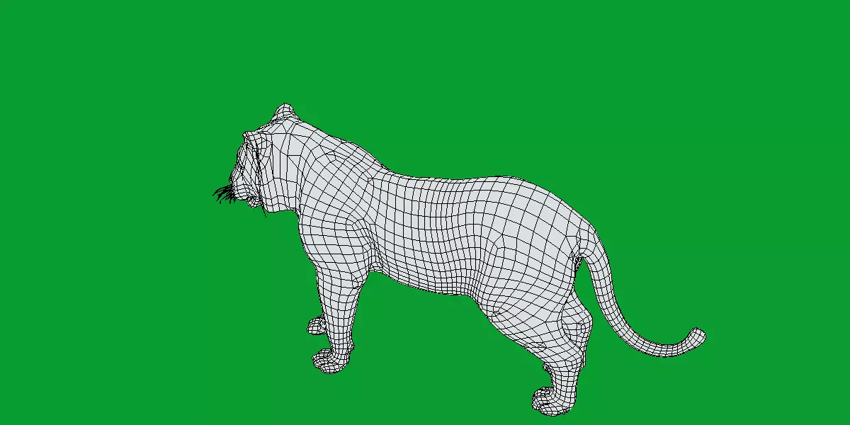 Bengal Tiger Low-poly 3D model_9